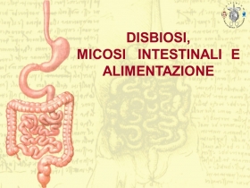 DISBIOSI, MICOSI INTESTINALI E ALIMENTAZIONE - NUTRINEWS APS