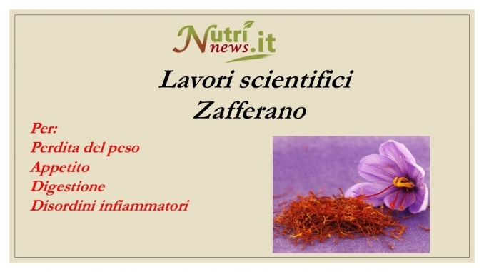 PESO BENE ZAFFERANO - NUTRINEWS APS
